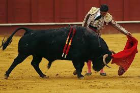 The Art of Bullfighting: Tradition, Controversy, and Cultural Expression